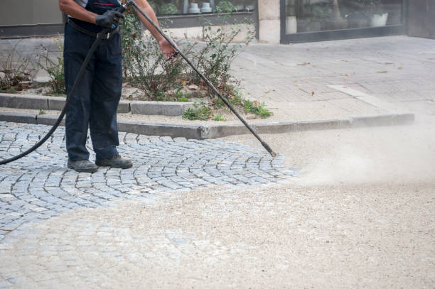 Best Concrete Sealing  in Mammoth, AZ